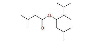 2-Isopropyl-5-methylcyclohexyl 3-methylbutanoate